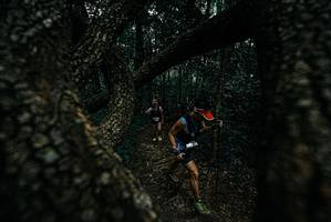 BIB: 
                            <button type="button" onclick="openModal(25688219)" class="btn btn-primary btn-sm float-right btn-popup" data-toggle="modal" data-target=".modal-high-quality">
                        <i class="fas fa-shopping-cart"></i> Add to Cart
                    </button>
                                            <button type="button" onclick="isThisMe(25688219, true)" class="btn btn-success btn-sm float-right btn-popup btn-isme hidden" data-toggle="tooltip" data-placement="bottom" title="นี่คือรูปของคุณใช่ไหม คลิกที่นี่เพื่อเอาเข้าอัลบั้ม">
                        <i class="fas fa-plus"></i> Add to album
                    </button>
                    <button type="button" onclick="isThisMe(25688219, false)" class="btn btn-warning btn-sm float-right btn-popup btn-isnotme hidden">
                        <i class="fas fa-ban"></i> Remove from album
                    </button>